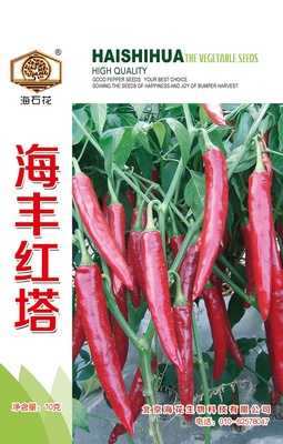 海豐紅塔