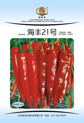 海豐21號
