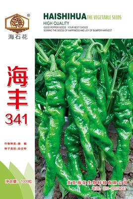 海豐341