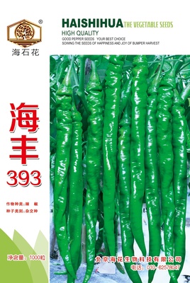 海豐393