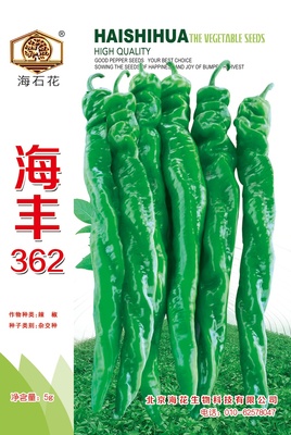 海豐362
